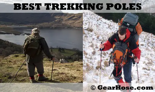 best backpacking trekking pole