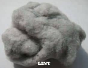 lint