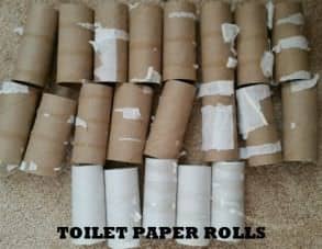 toilet paper rolls