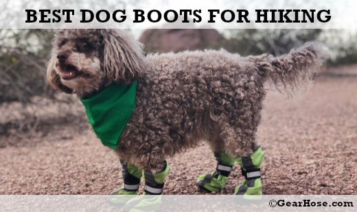 dog hiking boots