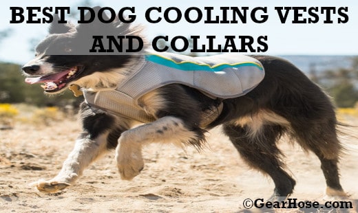 best cooling coats for dogs